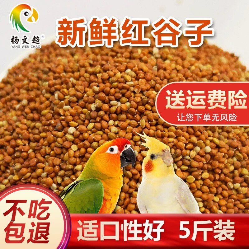 新优质带壳红谷子 增亮毛色饱满鸟食鸟粮虎皮鹦鹉珍珠全国5斤包邮