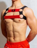 装 饰狂欢派对胸带内裤 饰搭配演出GOGO健身肌肉男 欧美装 D.M男肩带