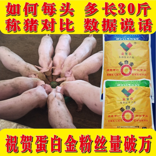 猪饲料添加剂催长促长增重肉猪小猪大猪育肥预混料浓缩料催肥蛋白 - 封面