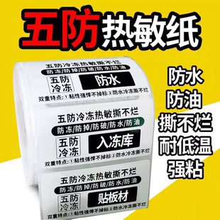 热敏冷冻胶合成标签纸防水耐低温撕不烂80*50*500