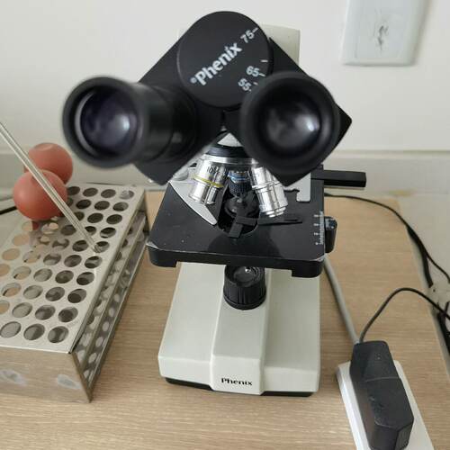 议价Phoex Biological Microscope Xsp30 Series Physical Shooti