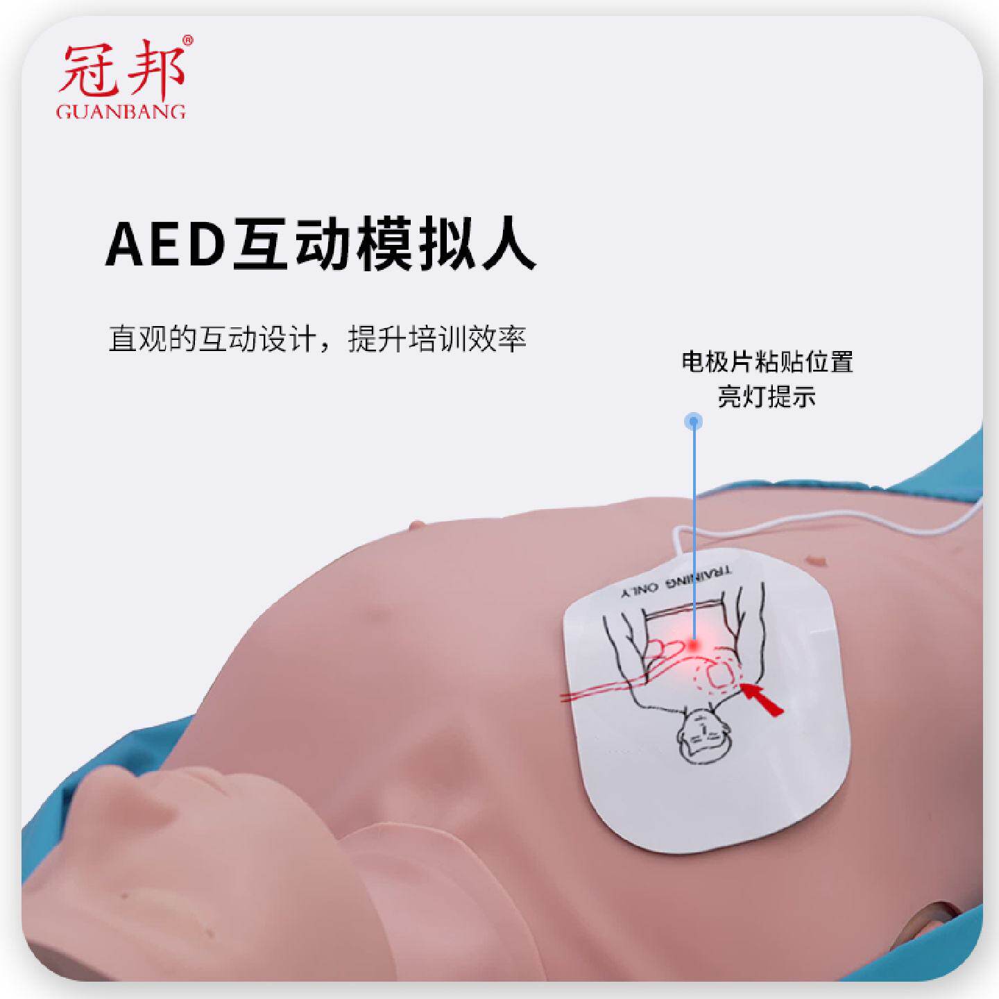 半身简配心肺复苏模拟人心脏复苏训练医学用急救模型人工呼吸假人