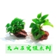 鱼缸水族箱装 饰造景黄金水榕草火山石活体真水草懒人水草
