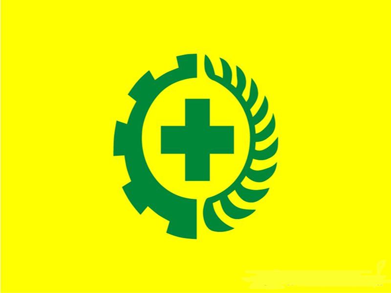 4号logo世界各国国旗外国旗96*144cm公司标志旗专业生产厂家直销