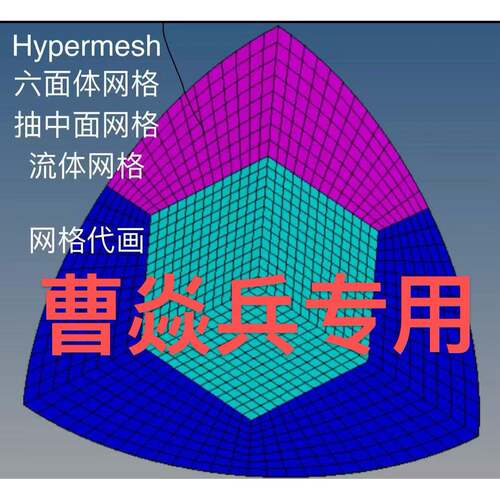 包售后！Hypermesh结构化网格划分/专业画/六面体/四面体/有视频