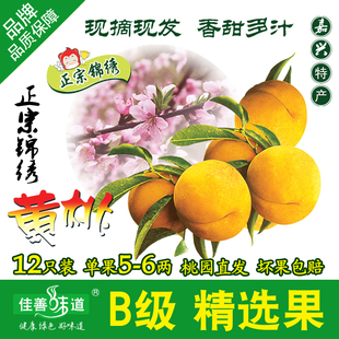 新鲜水果 原生态浙江嘉善姚庄锦绣黄桃孕妇当应季 脆香甜包邮礼盒