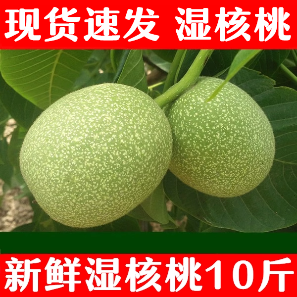 新货新鲜核桃去青皮湿嫩生核桃现摘绿薄皮核桃仁孕妇专用黑桃整箱