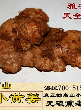 四川雅安特产天全县新鲜土小黄姜高山姜 老姜 无硫熏 生姜250g