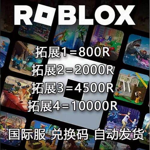Roblox 国际服 800 R  2000R 4500R 兑换码 自动发货