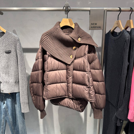 专柜正品艾诺丝雅诗国内代购2025冬小个子保暖羽绒服女41030020