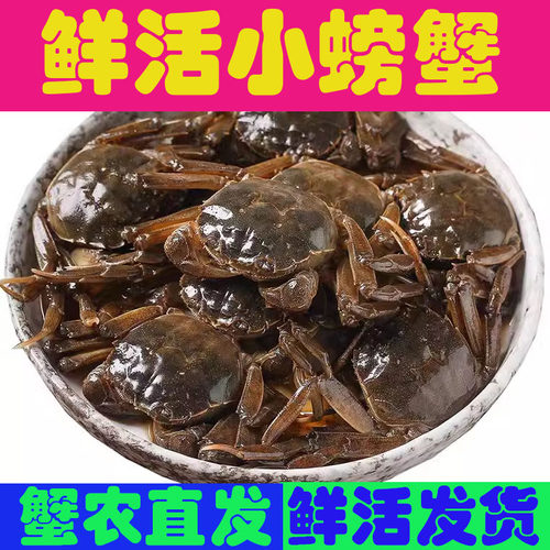 鲜活公母小螃蟹大闸蟹螃蟹海鲜