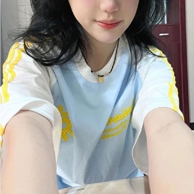 夏季新款纯棉刺绣短袖13.15女T恤