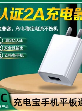 5V2A电源适配器充电器头
