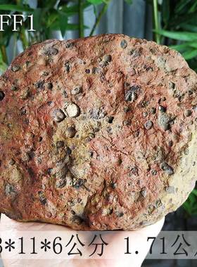 精致小巧宝磬天然小品石SNO1A5大湾观赏石手玩石 柳州旅游纪念品