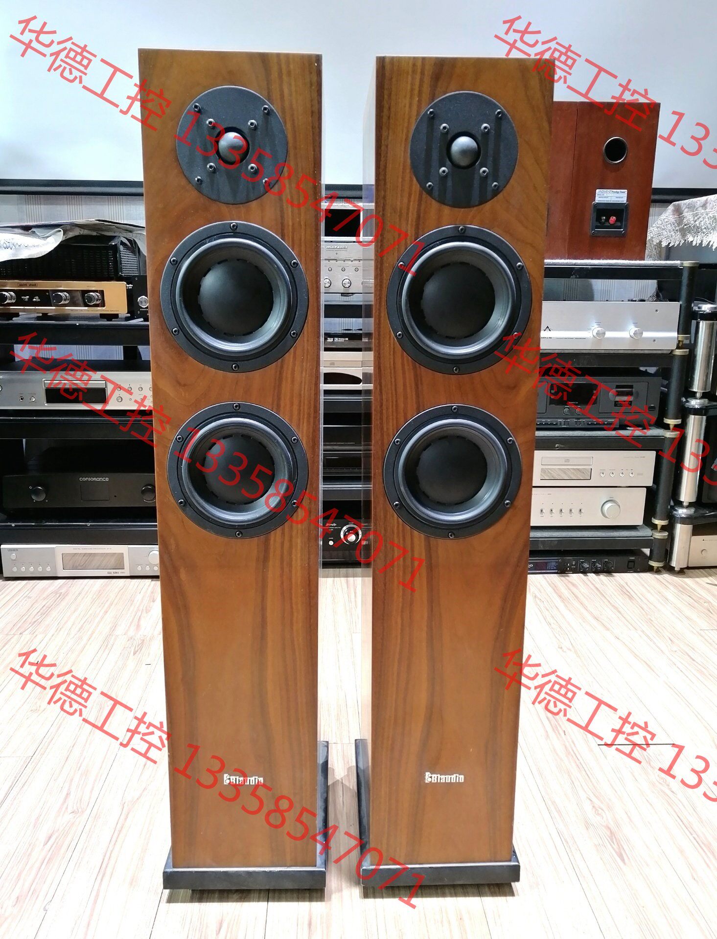 议价 博良渔歌落地音箱一对