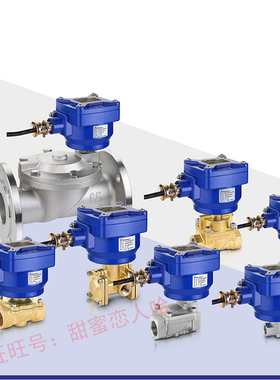 Sanlixin 三力信隔爆电磁阀 燃气燃油阀SLP2GF02N3E20N  AC220V