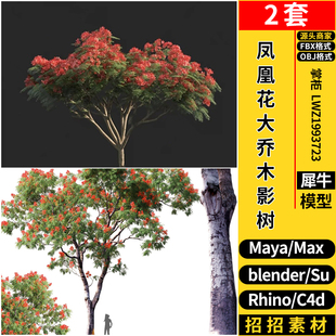 blender凤凰花大乔木影树SU/Maya/Rhino犀牛C4D/3dmax模型FBX OBJ