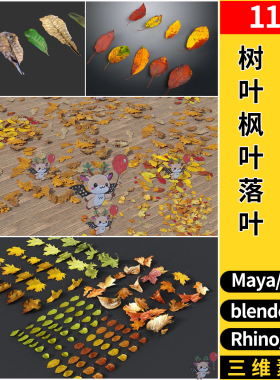 MAYA秋天树叶枫树落叶blender/C4D/Rhino犀牛SU/3DMAX模型FBX OBJ