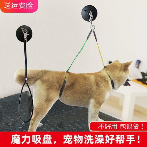 宠物猫咪洗澡固定绳美容台吊绳