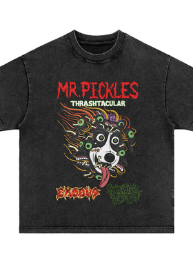 腌黄瓜先生Mr. Pickles 直喷印花vintage水洗做旧长短袖T恤上衣