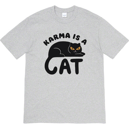karma is a cat taylor swift美式复古T恤男女宽松纯棉短袖tshirt