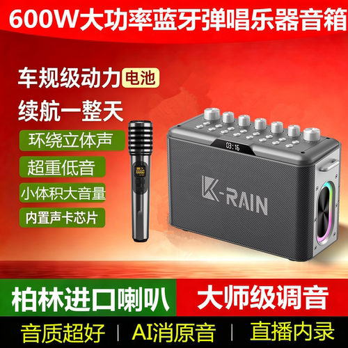 柏林之声二胡电吹管乐器蓝牙音箱