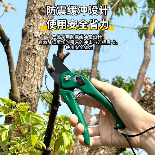 绿林园艺剪刀果树修枝剪剪树枝专用剪刀日本进口工艺修剪枝花艺剪