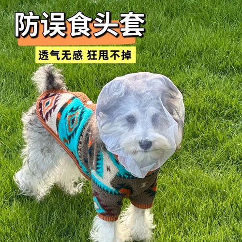 狗狗防误食乱吃头套网纱面罩透气
