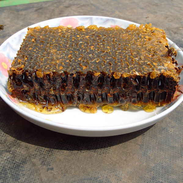长白山天然蜂蜜 蜂巢素 农家自产蜂巢蜜 野生百花土蜂巢 500g包邮