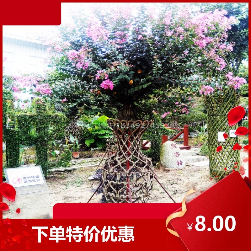桂花 茶花 杜鹃 紫薇 月季 石楠苗木编织模具 紫薇花瓶骨架 模具