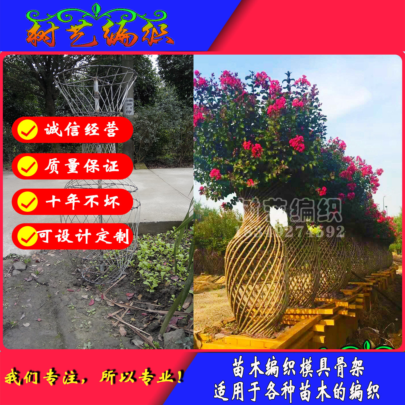 红叶石楠 红枫 紫薇 桂花 茶花 杜鹃 海棠 花瓶模具骨架 出售成品