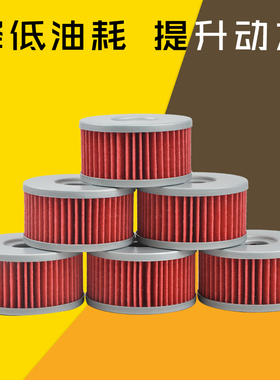 适用于大眼DR250机滤草上飞望江GZ GN250 TU250X机油滤芯滤清器