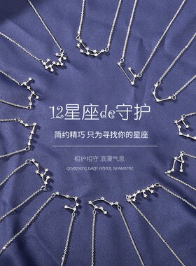 十二星座专属项链女精致时尚百搭
