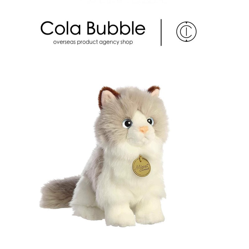 AURORA美国正版布偶猫