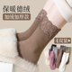 德绒袜子女秋冬季 中筒袜女士蕾丝加绒加厚保暖长袜睡眠地板雪地袜