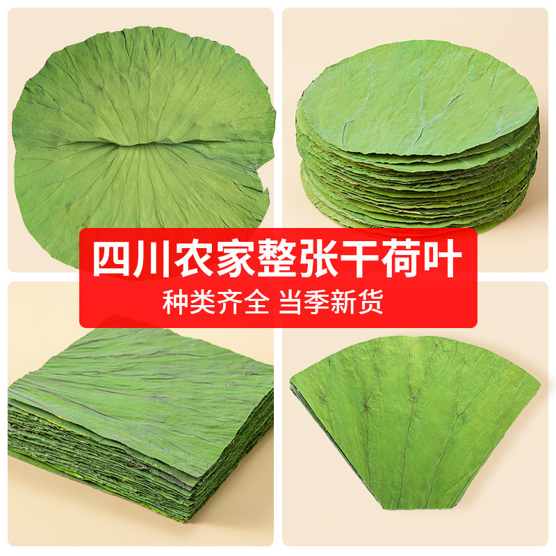 农家干货荷叶四川荷叶糯米鸡专用干荷叶清香叶片泡水无硫熏干荷叶