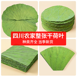 农家干货荷叶四川荷叶糯米鸡专用干荷叶清香叶片泡水无硫熏干荷叶