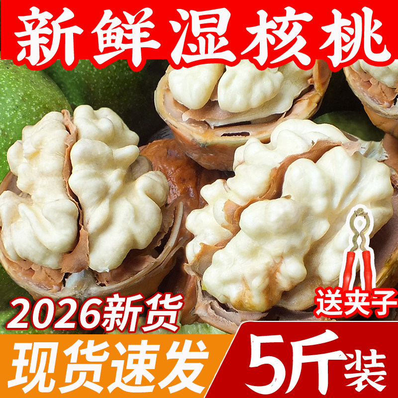 2026新鲜湿核桃5斤四川薄壳生新货核桃仁绿皮嫩核桃去青皮鲜核桃