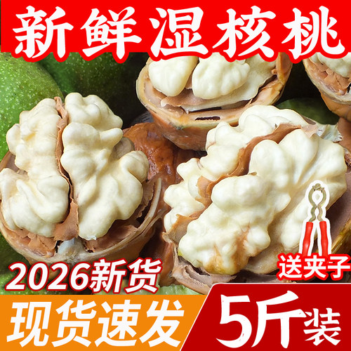 2026四川去青皮5斤新鲜湿核桃