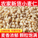 农家新货小麦仁米新鲜小麦仁五谷杂粮米熬粥煮饭粗粮做麦酱麦芽糖