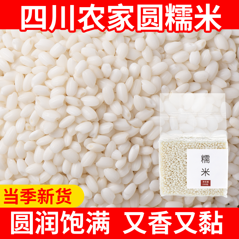 珍珠糯米2斤包粽子专用江米粘糯米农家新米真空包装酒酿圆糯米