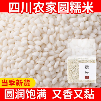 珍珠糯米2斤包粽子酒酿新米江米