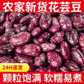 花芸豆新货大粒农家菜豆红芸豆腰豆五谷杂粮云南新鲜雀蛋肾豆