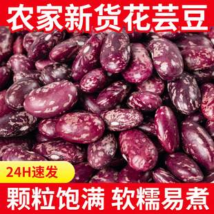 花芸豆新货大粒农家菜豆红芸豆腰豆五谷杂粮云南新鲜雀蛋肾豆