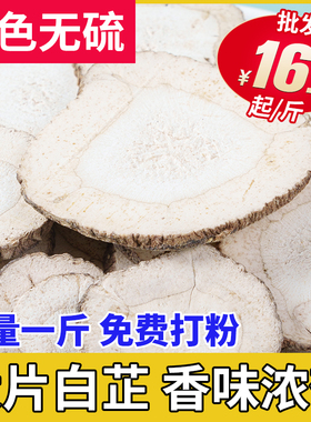 白芷香料无硫熏大片白芷可磨粉味浓新货百芷调料大全商用白芷片