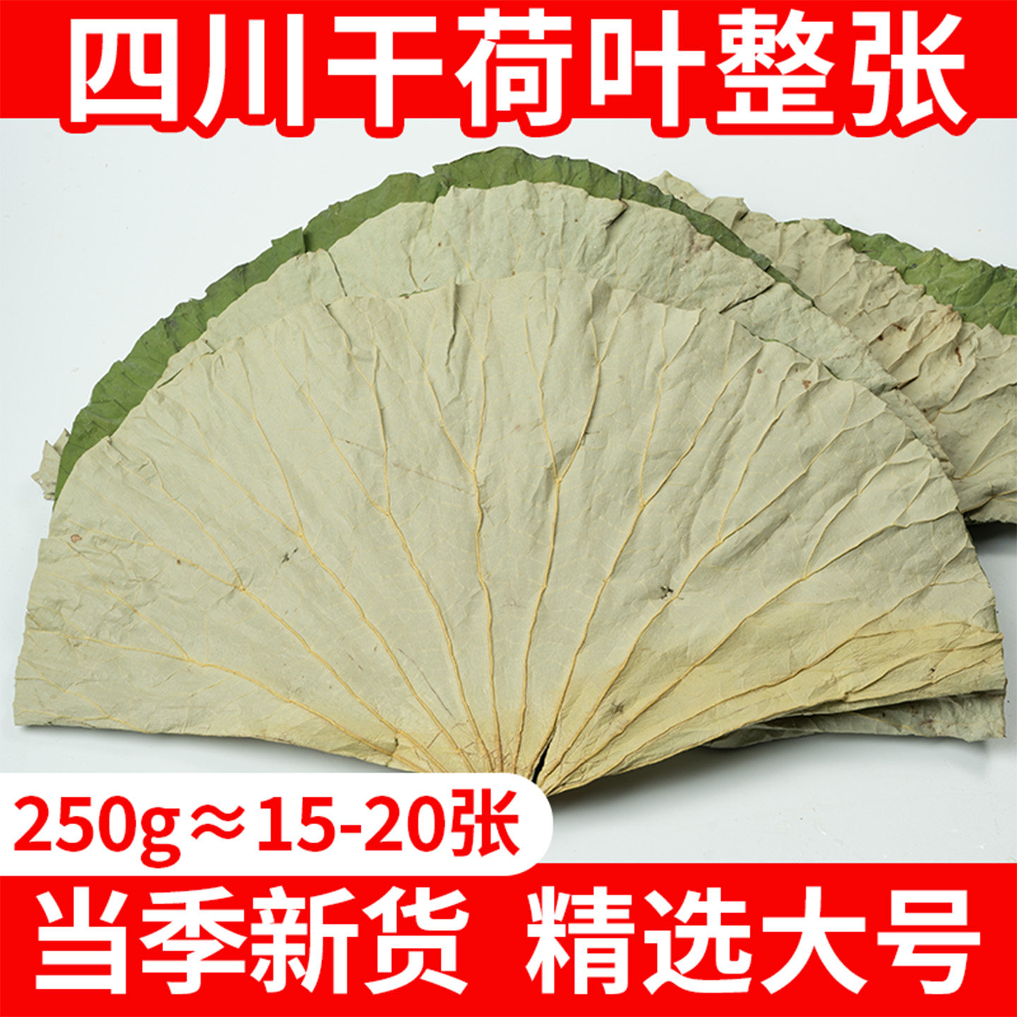 四川荷叶整张250g干荷叶叫花鸡糯米鸡木桶饭荷叶粥专用新鲜荷叶片