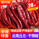丘北干辣椒250g中辣特香正宗云南文山邱北辣子朝天椒长红辣椒商用