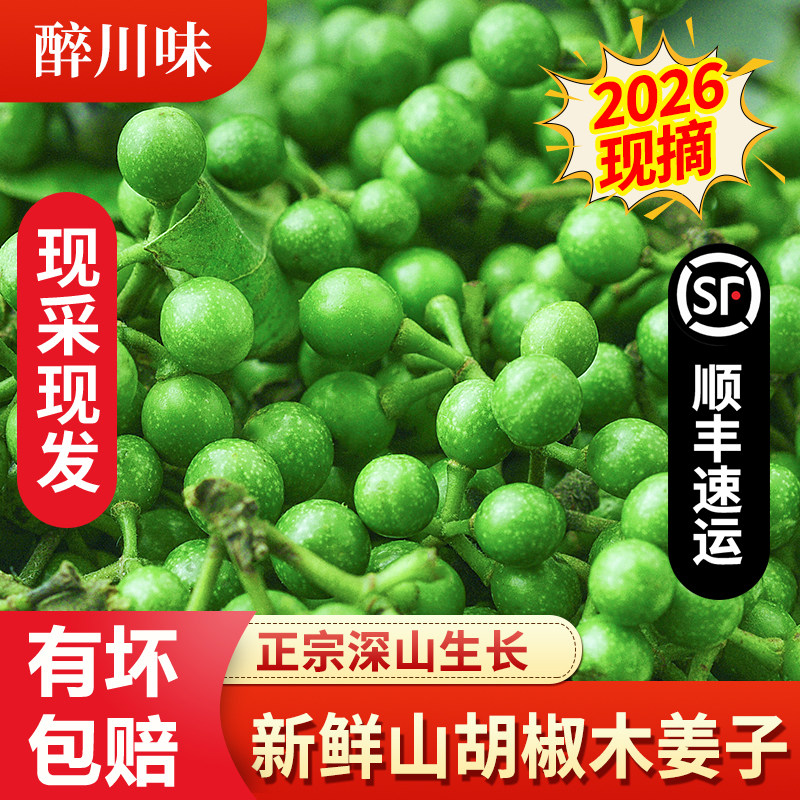 2026新鲜现摘山胡椒食用顺丰包邮特产木江子酱配料拌饭调料木姜子