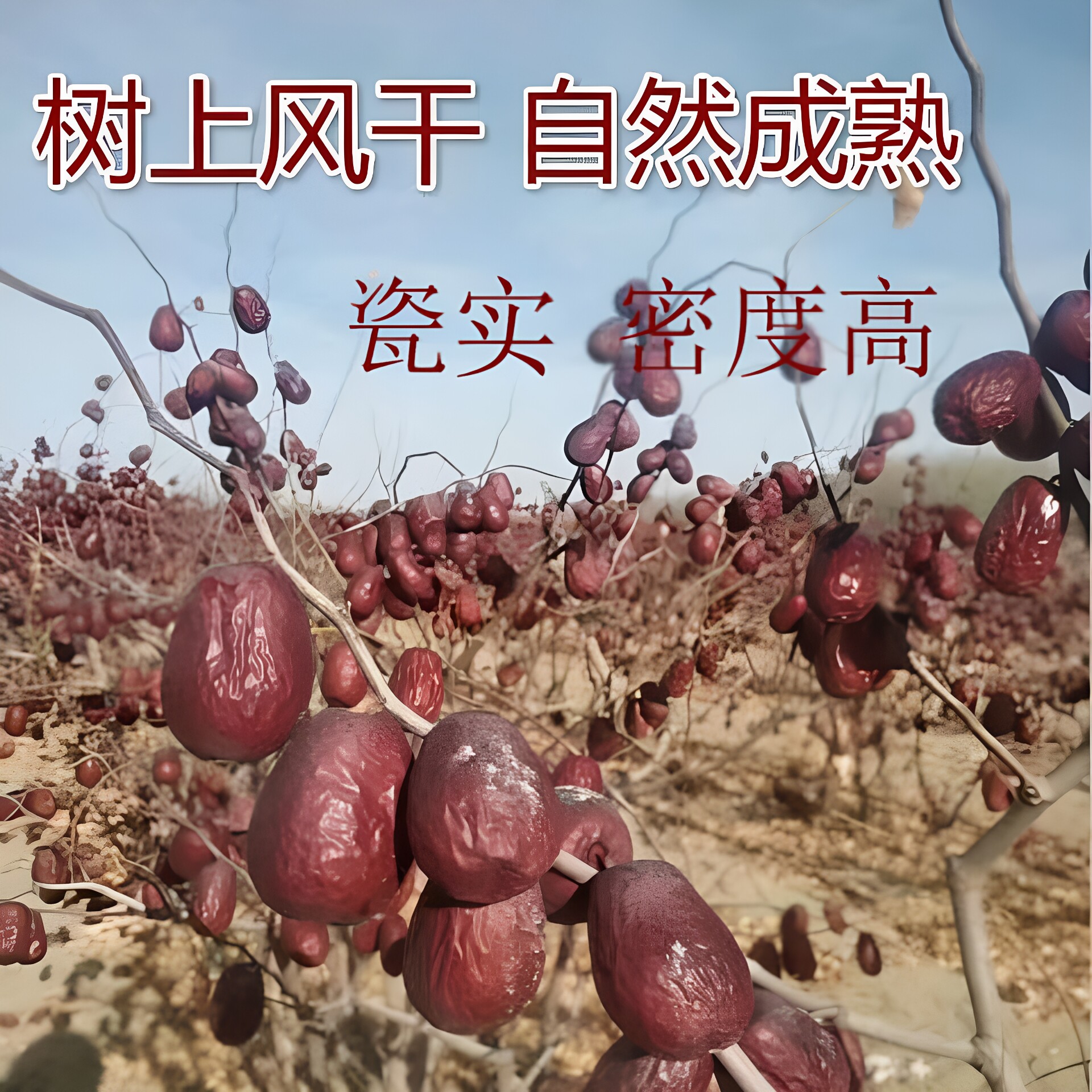 新疆红枣和田大枣6斤肉厚瓷实自然风干一箱干瓷实未清洗