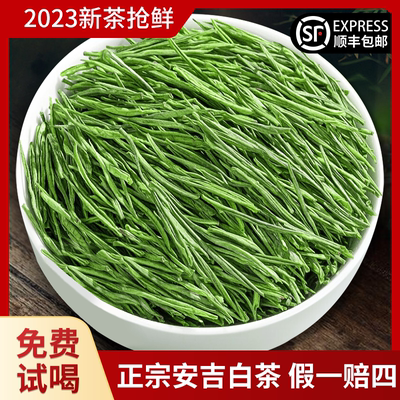 正宗安吉白茶口粮茶珍稀绿茶